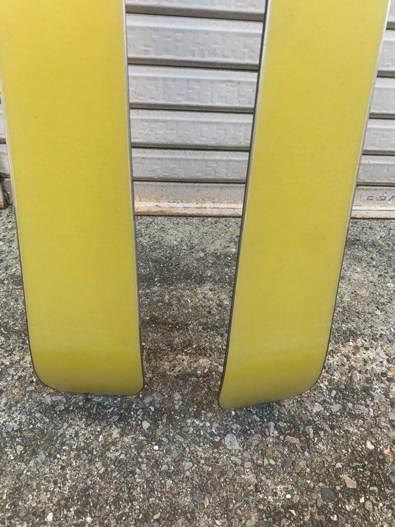 Vector glide スキー