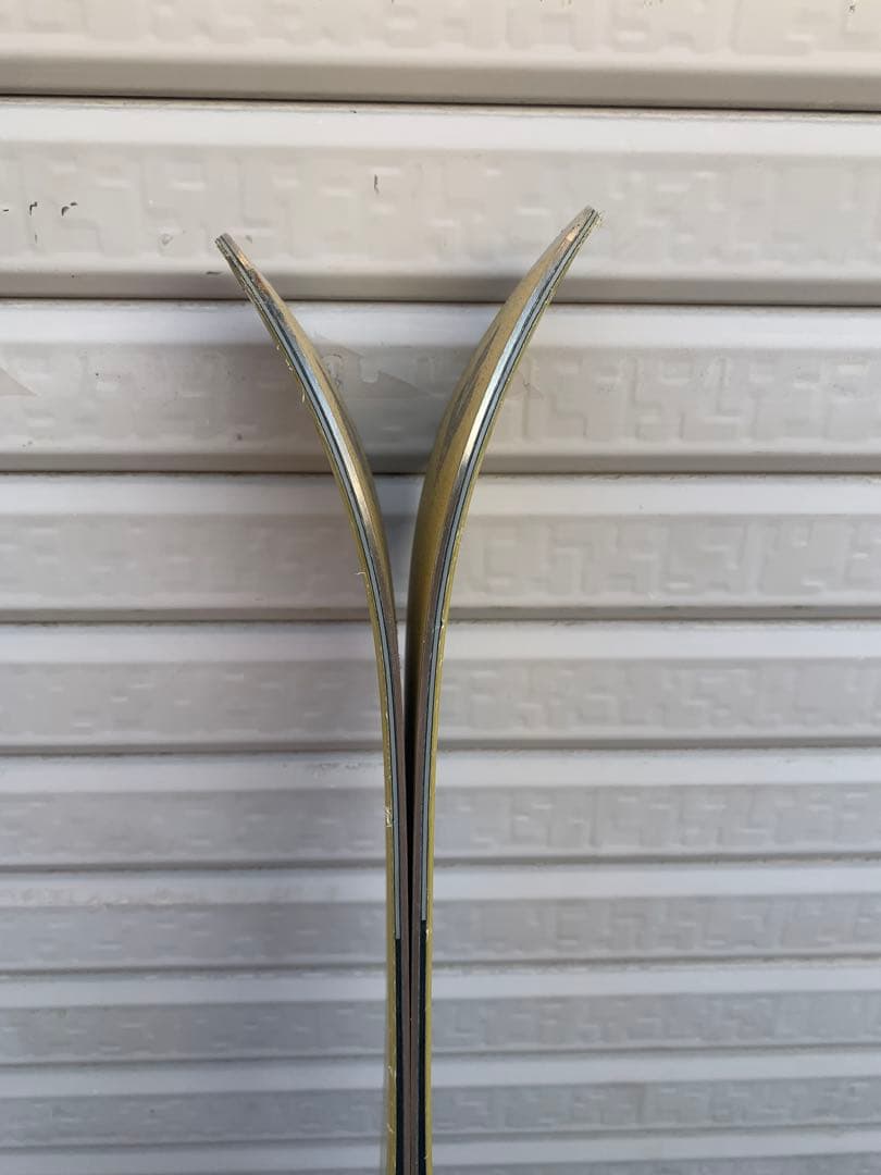 Vector glide スキー