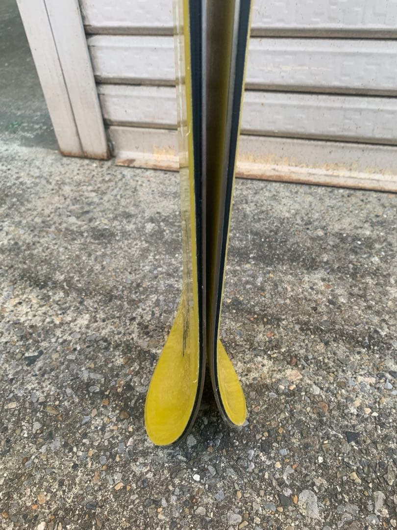 Vector glide スキー