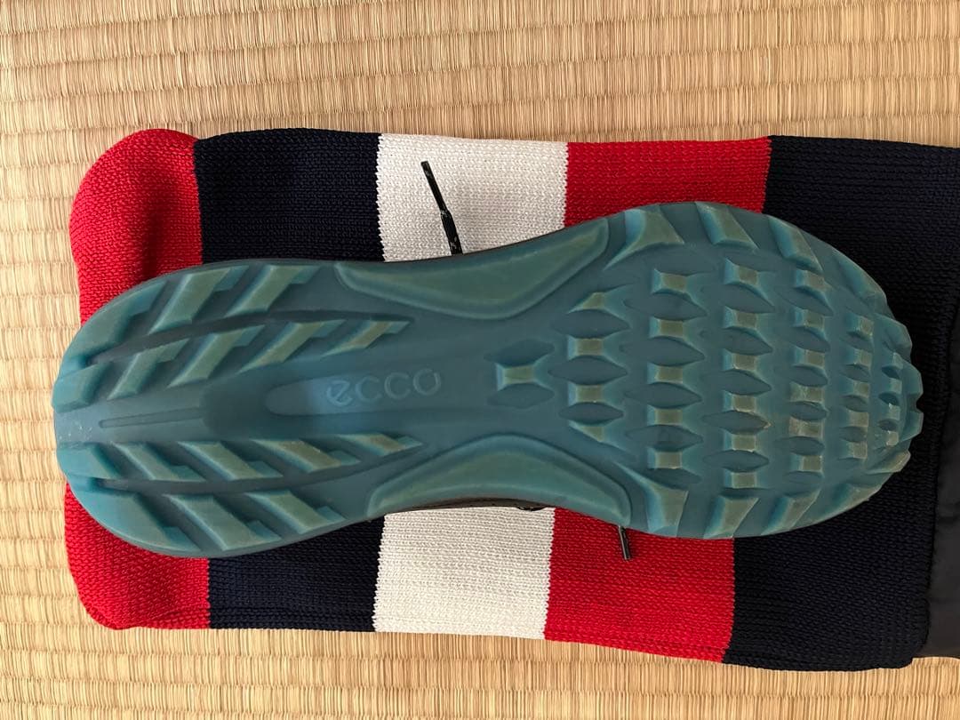 エコー（ECCO）BIOM C4 ゴルフシューズ