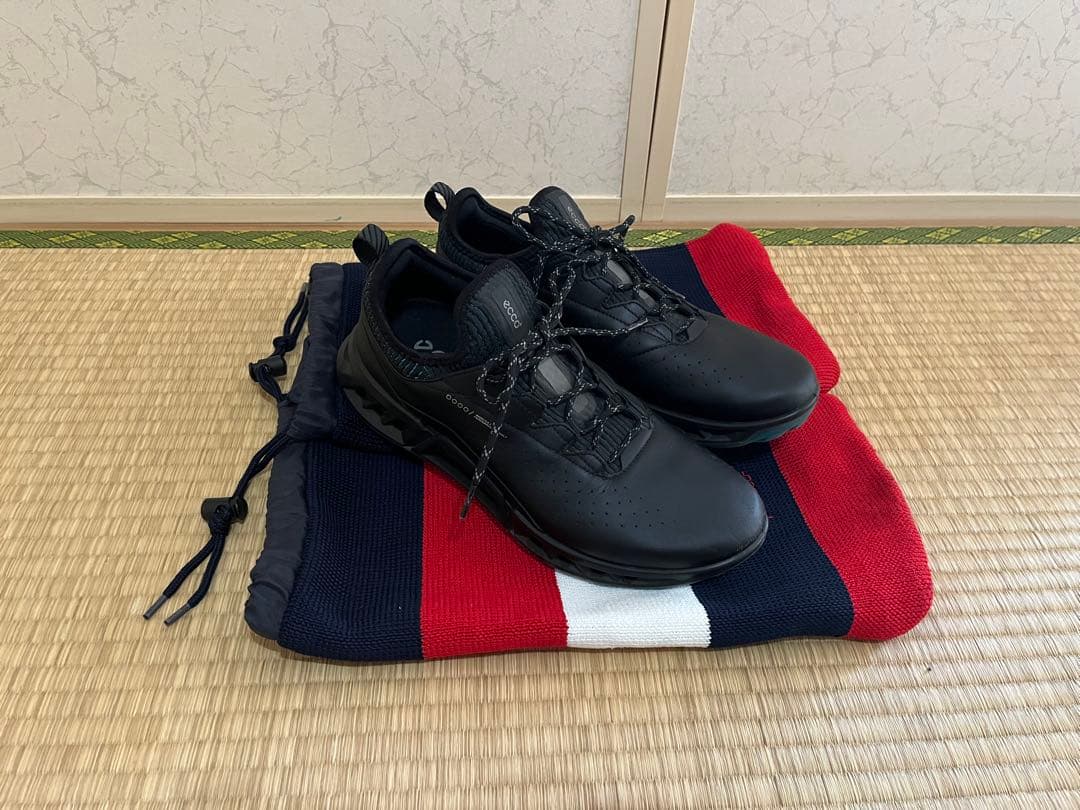 エコー（ECCO）BIOM C4 ゴルフシューズ