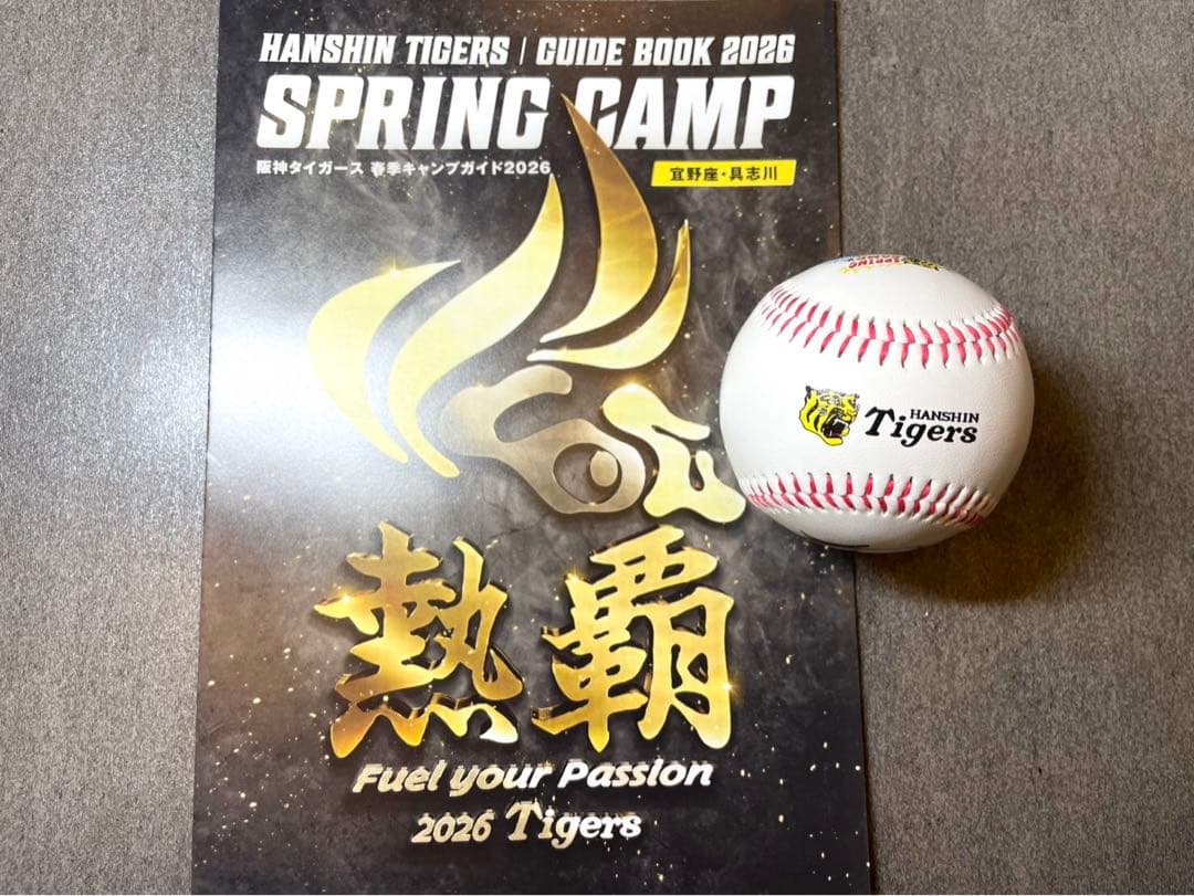 阪神タイガース 才木浩人 直筆サインボール 2026沖縄キャンプ限定球
