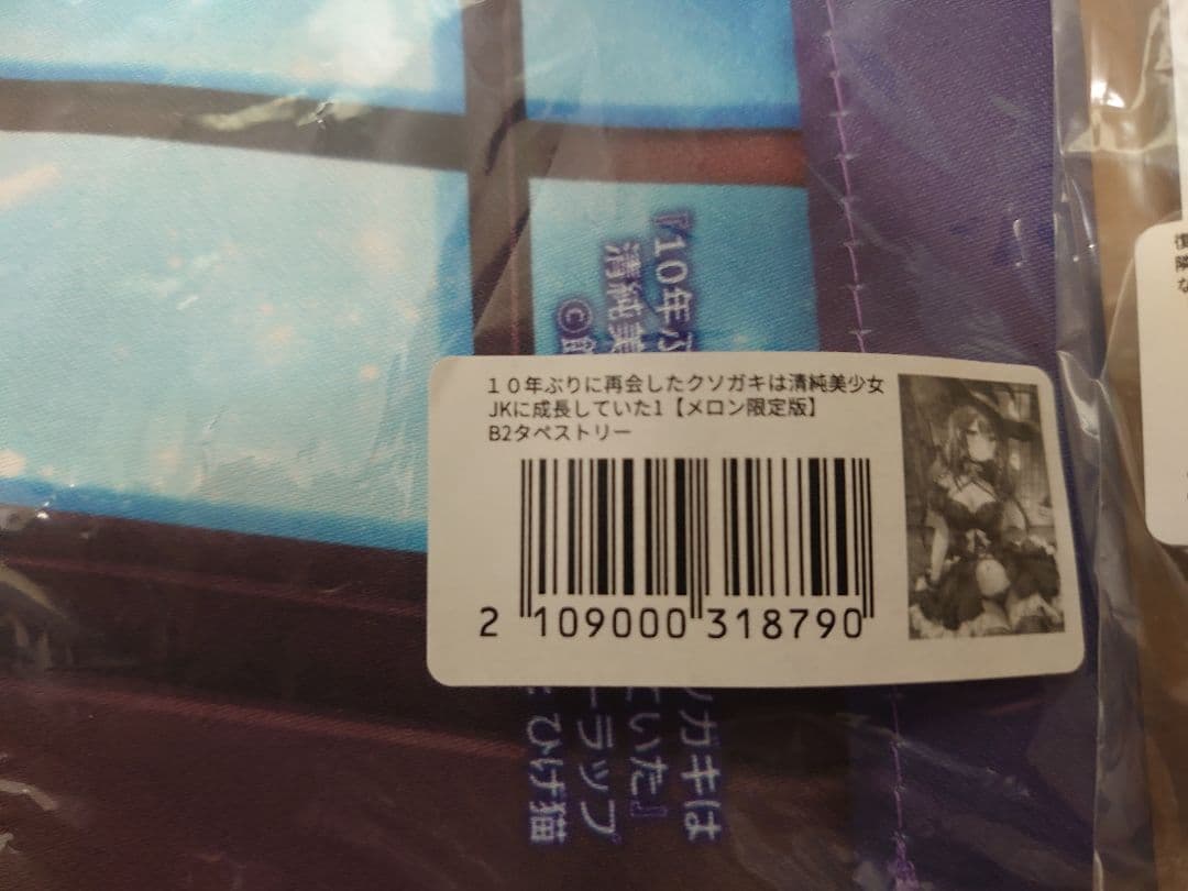 ライトノベル　購入特典　セット