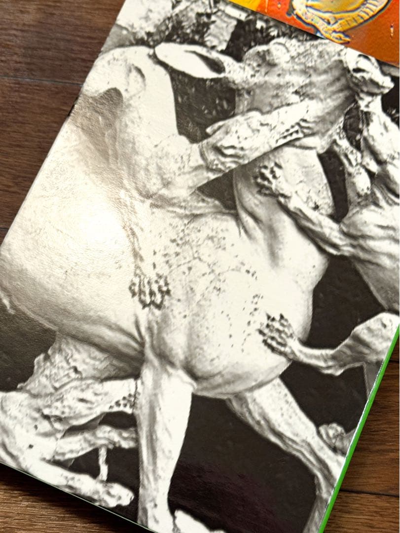 グッチ バイ ハーモニー・コリン 限定1000部 写真集 本 ブック BOOK