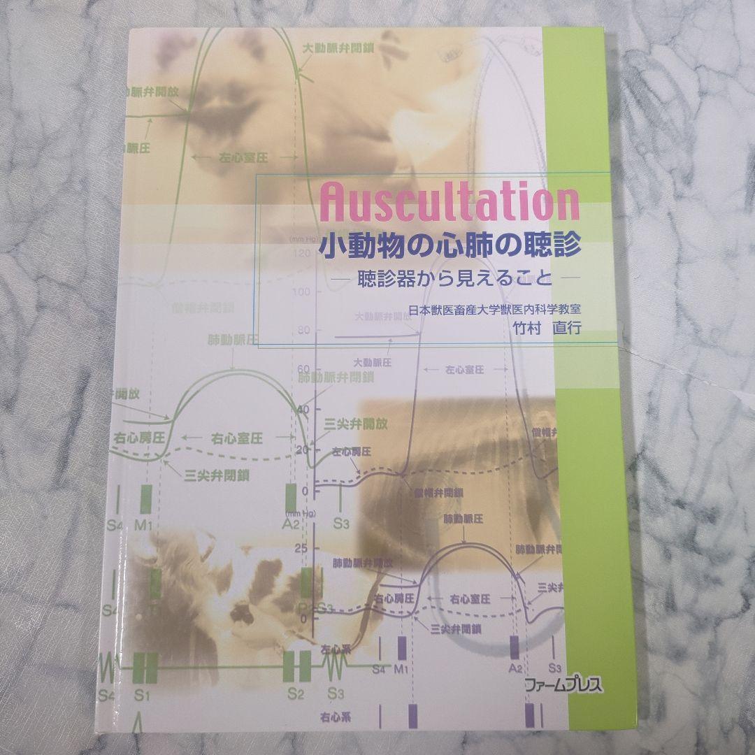 【極美品】小動物の心肺の聴診
