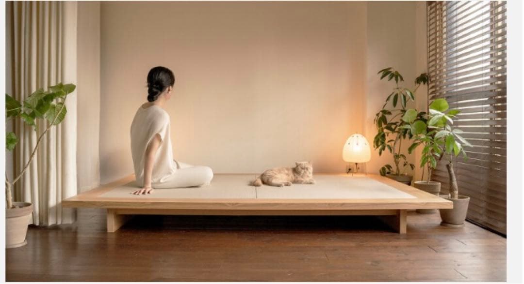 LIVING BED リビングベッド 旭川家具 建築家二人暮らし　セミダブル