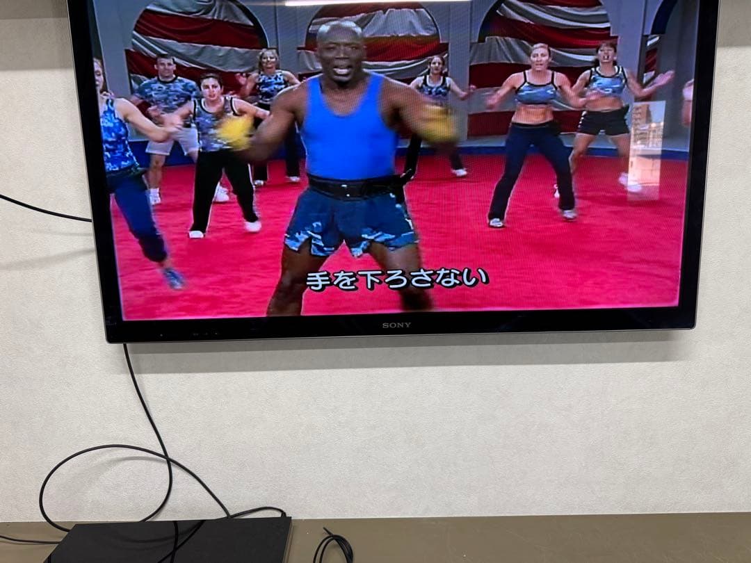 【動作確認済】SONY ブルーレイレコーダー　B-CAS付