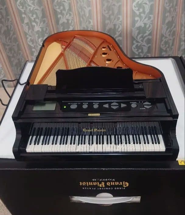 グランドピアニスト 　箱付