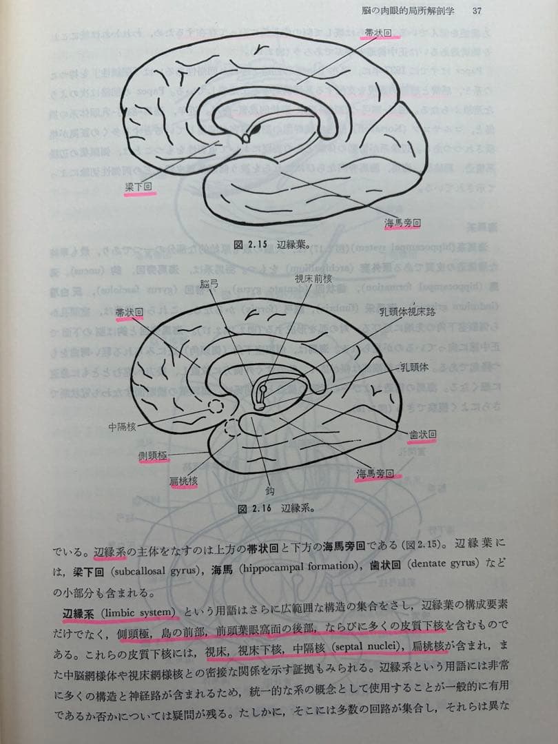 神経心理学 臨床的アプローチ