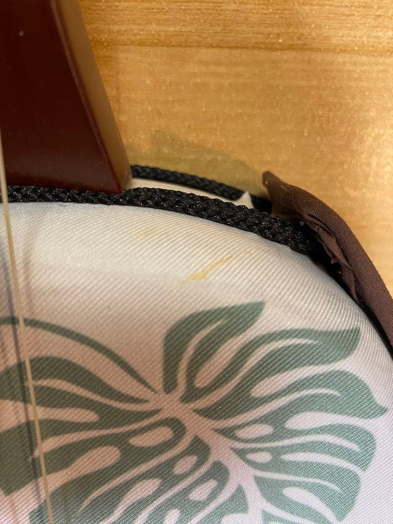 三線 【ウッド三線】 ASOVIVA (布ケース付き)