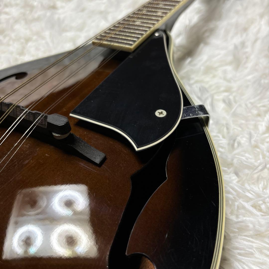 ibanez アイバニーズ マンドリン M510DVS 海外インポート ケース付