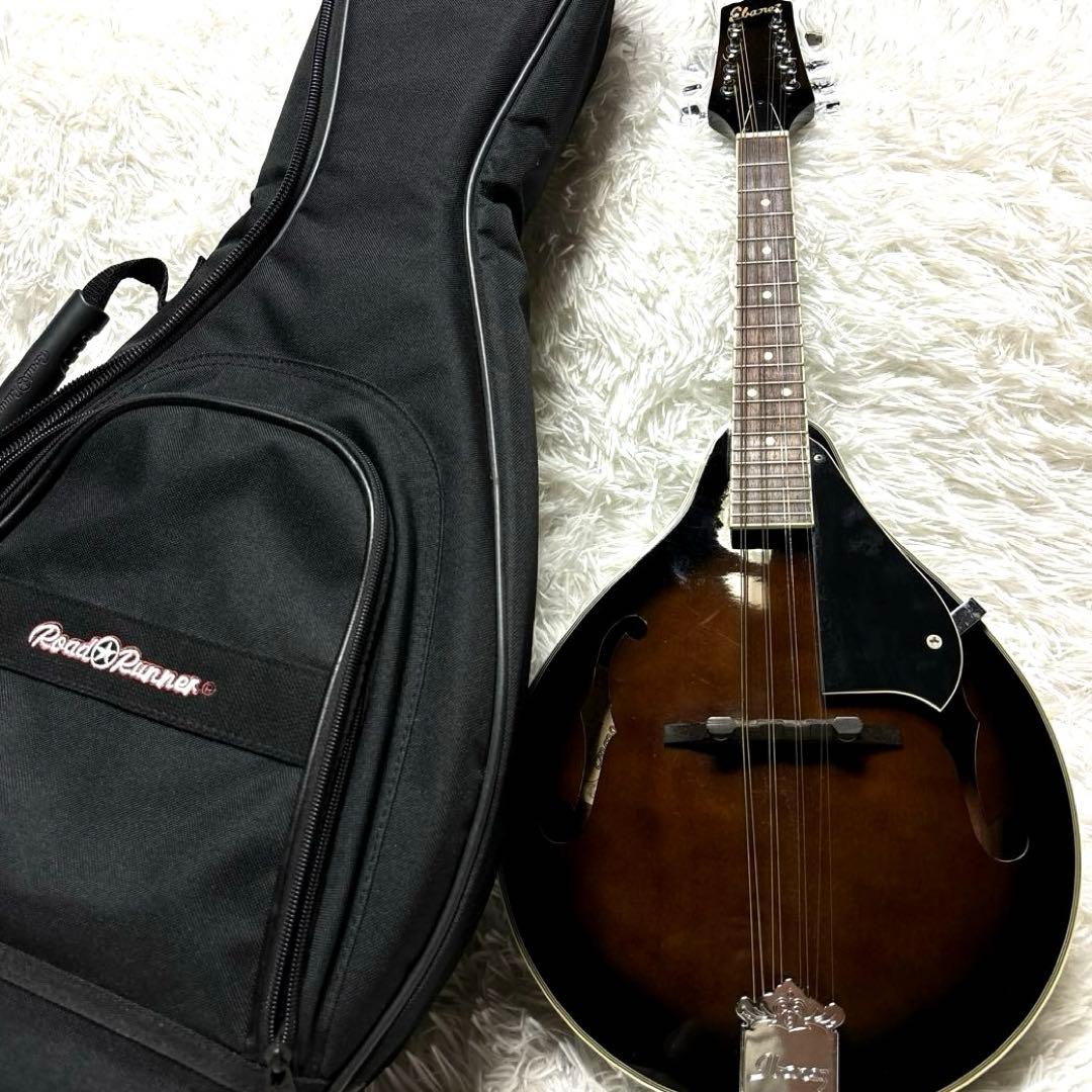 ibanez アイバニーズ マンドリン M510DVS 海外インポート ケース付