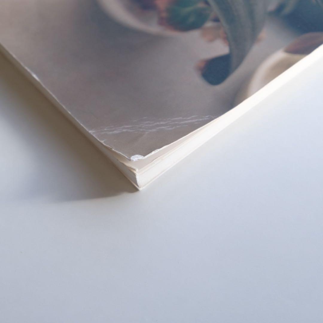 佐内正史 写真集 生きている