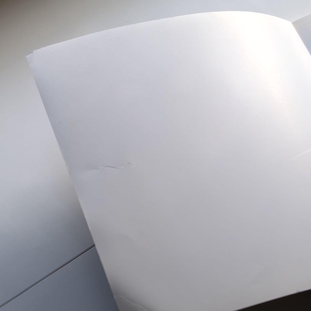 佐内正史 写真集 生きている