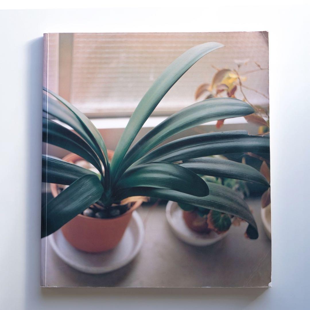 佐内正史 写真集 生きている