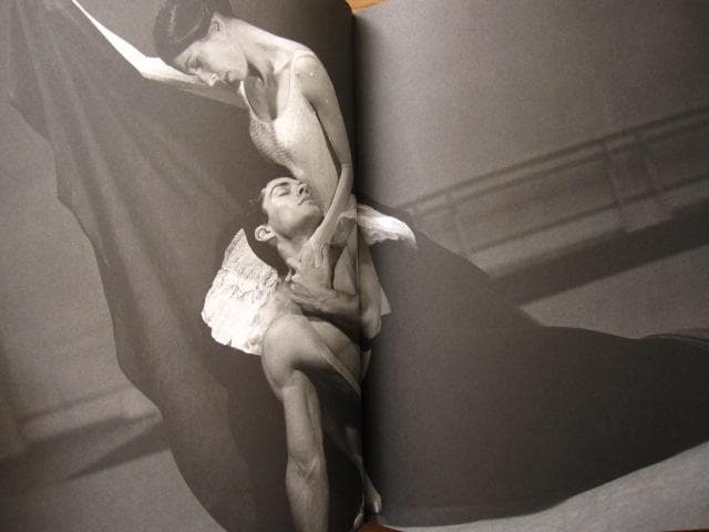 アート・デザイン・音楽 Roberto Bolle An Athlete in Tights