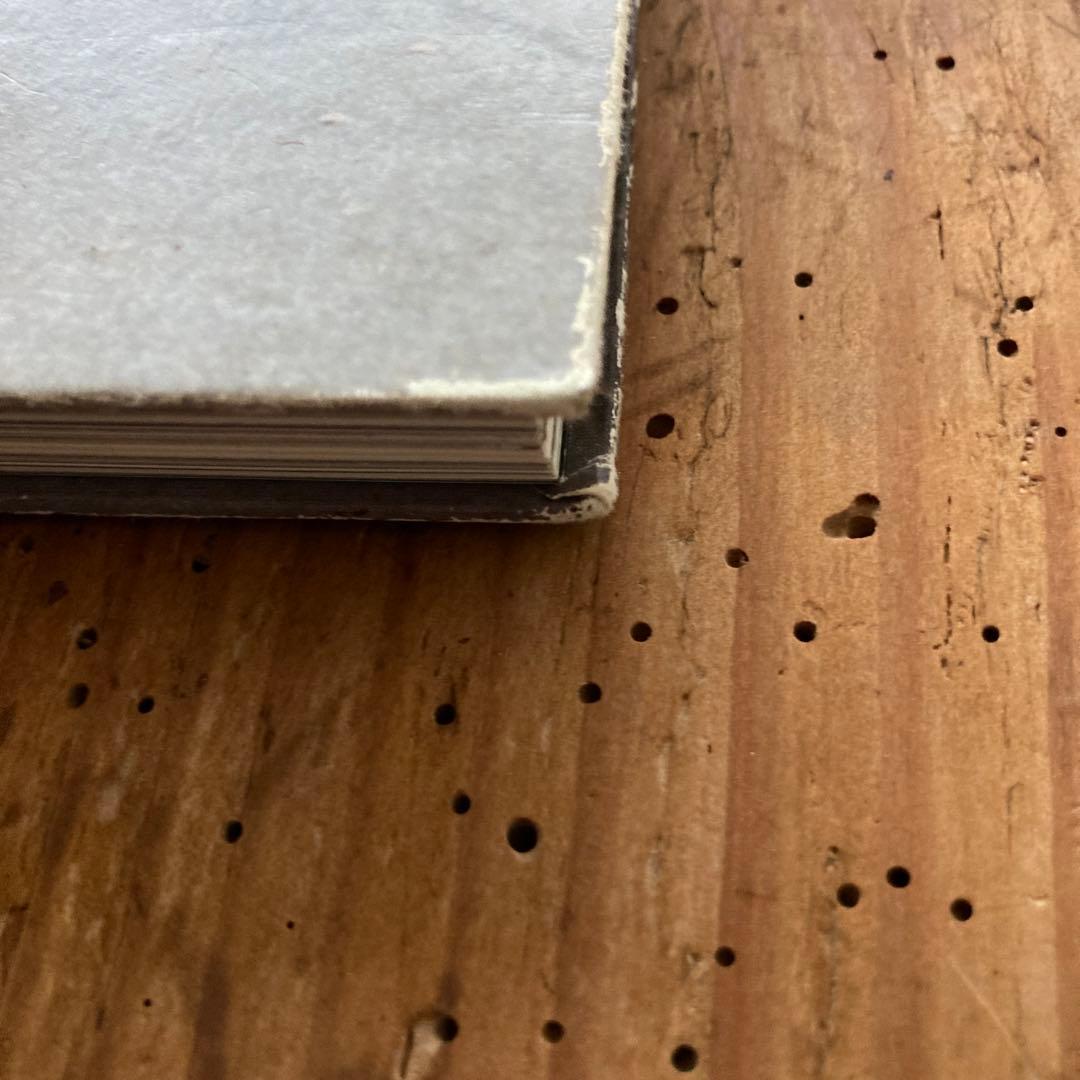 初版TaiyoOnorato NicoKrebs:TheGreat Unreal