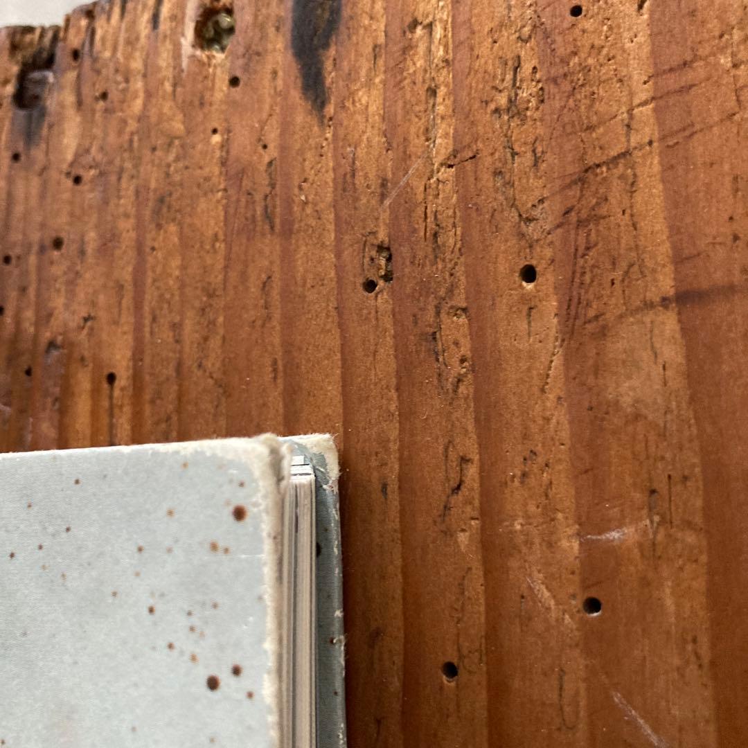 初版TaiyoOnorato NicoKrebs:TheGreat Unreal