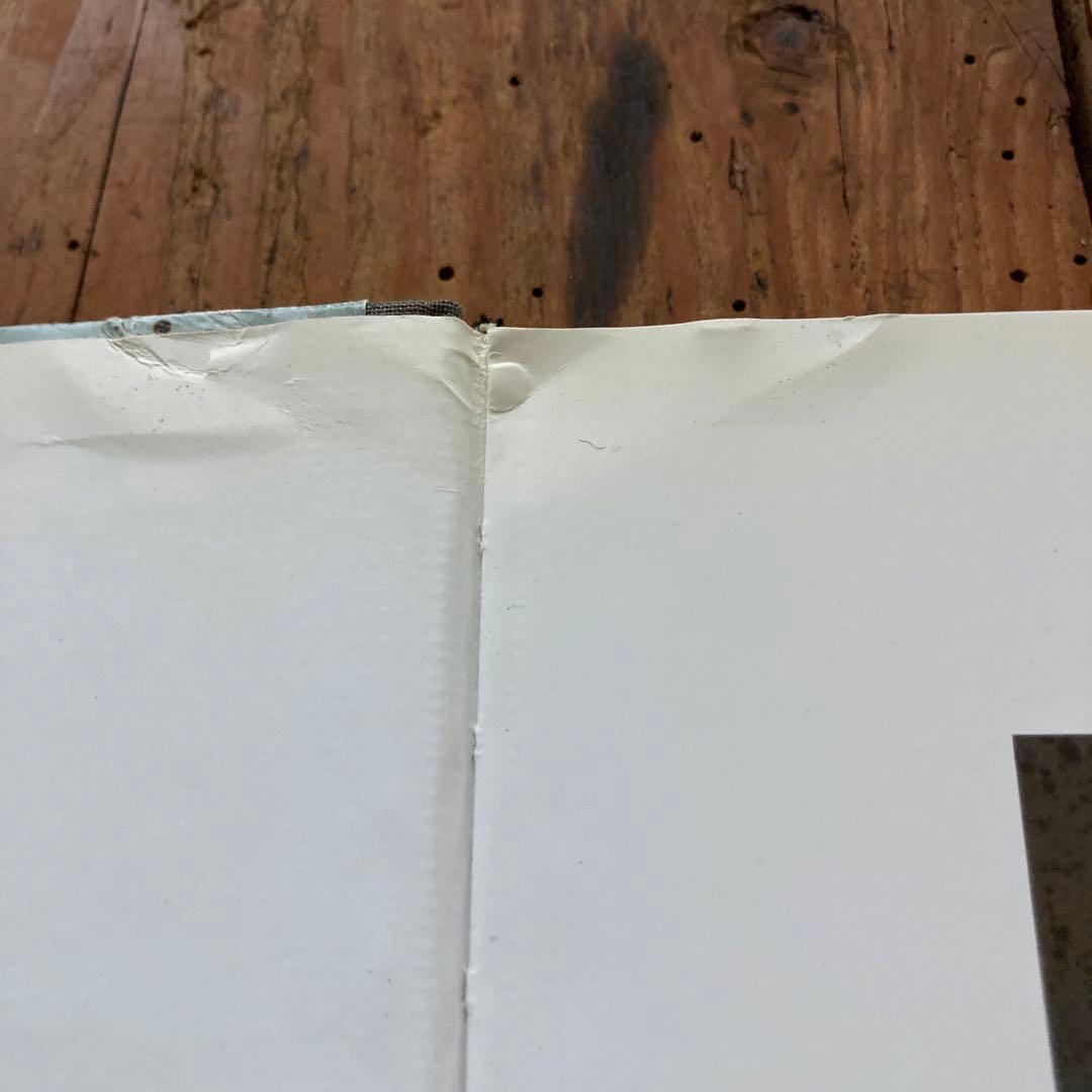 初版TaiyoOnorato NicoKrebs:TheGreat Unreal