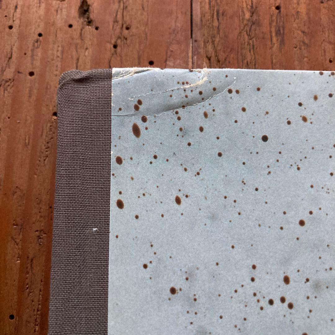 初版TaiyoOnorato NicoKrebs:TheGreat Unreal