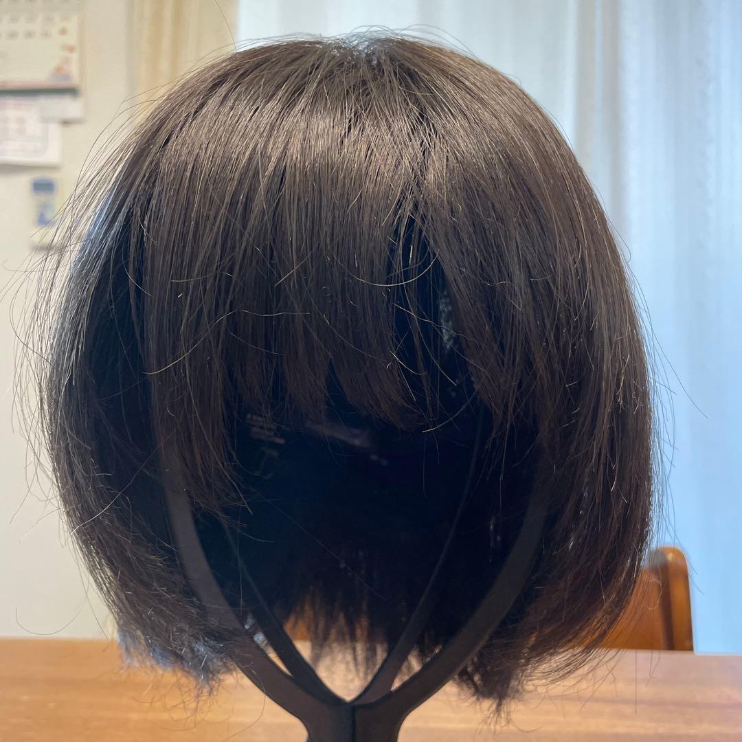 ウィッグ　フィットミー　MW-21