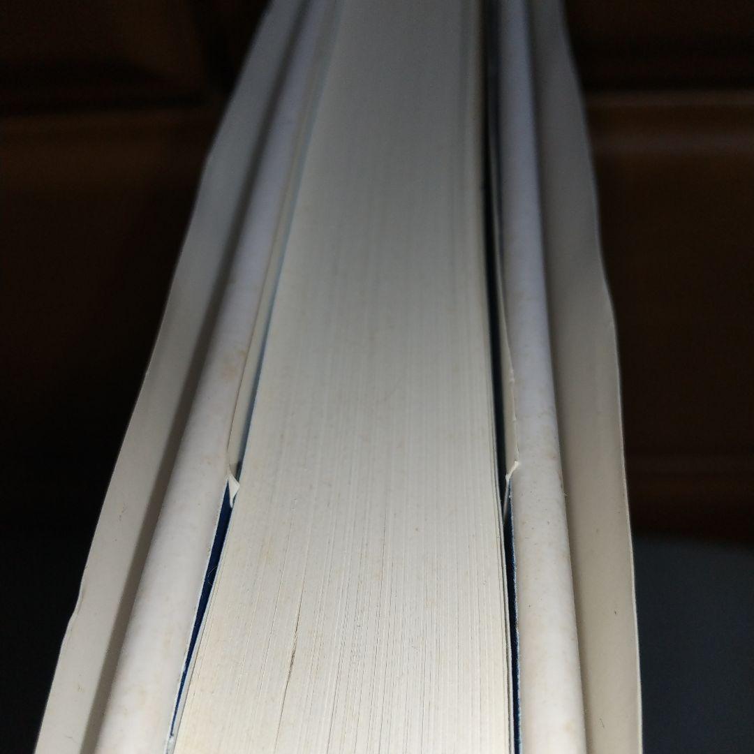 Helmut newton/polaroids 【l4】