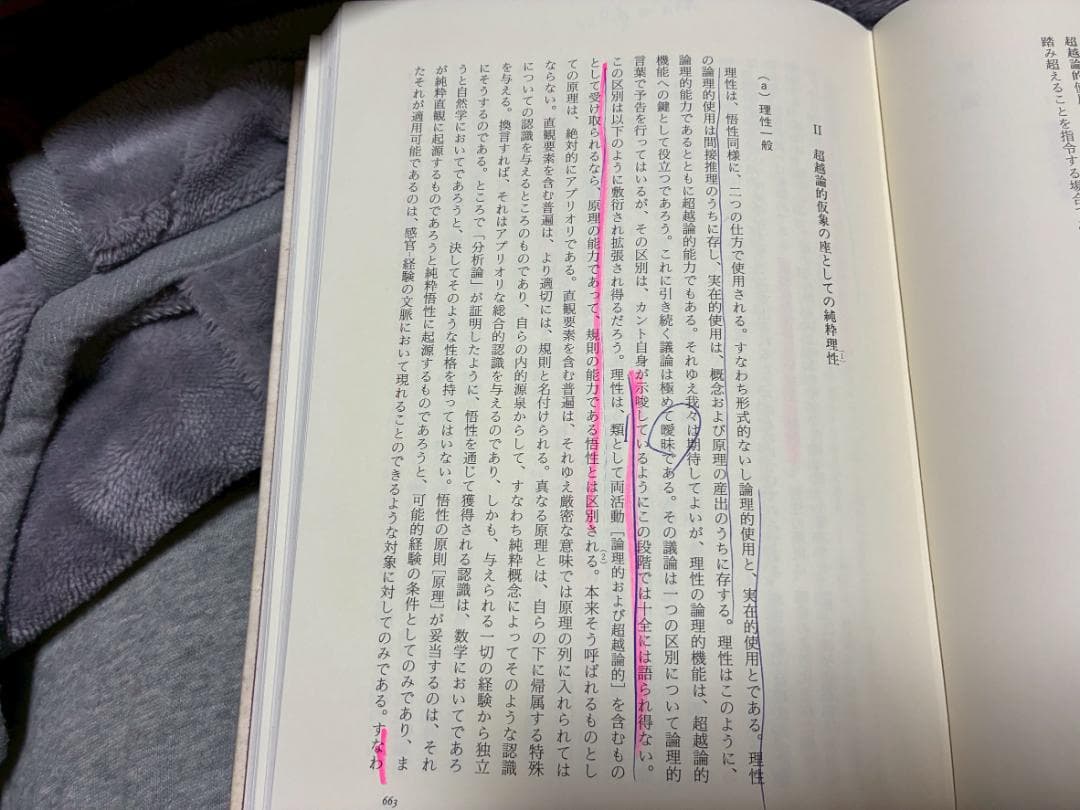 Ｎ・ケンプ・スミス　山本冬樹　訳　カント 純粋理性批判 註解　上下巻 行路社