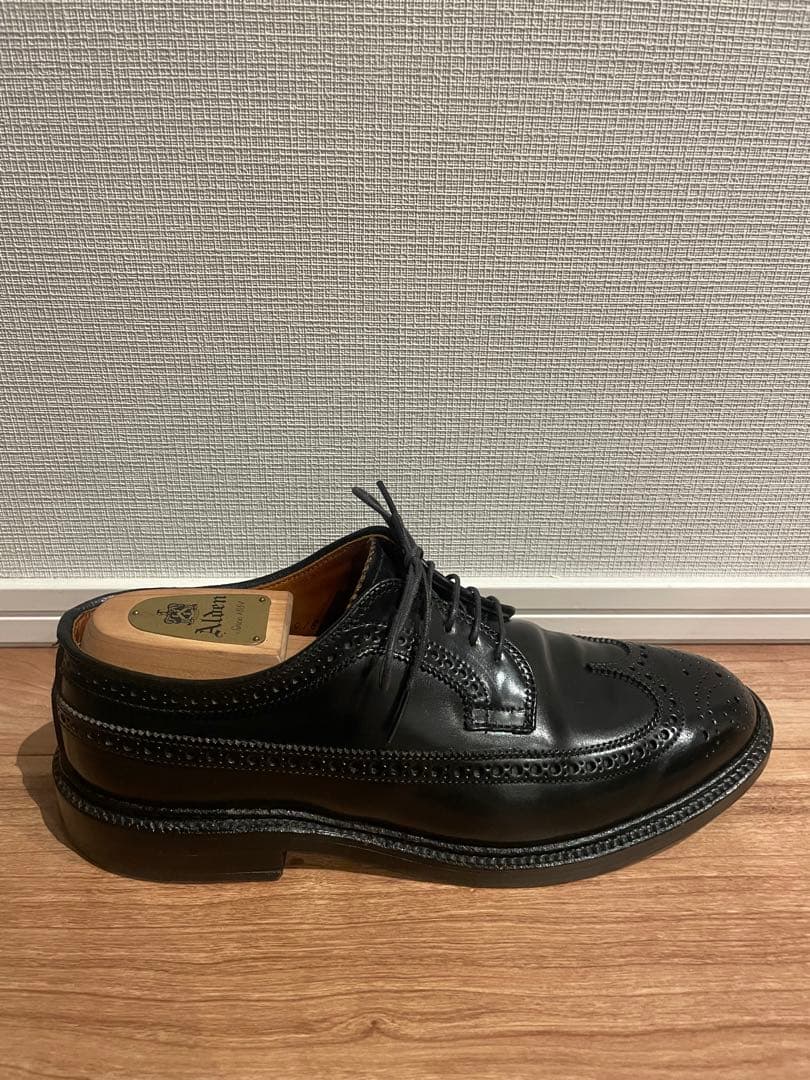 Alden 9751 コードバン　ウィングチップ　7E