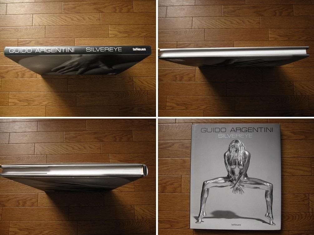 Silvereye　Guido Argentini　 グイド・アルジェンティーニ