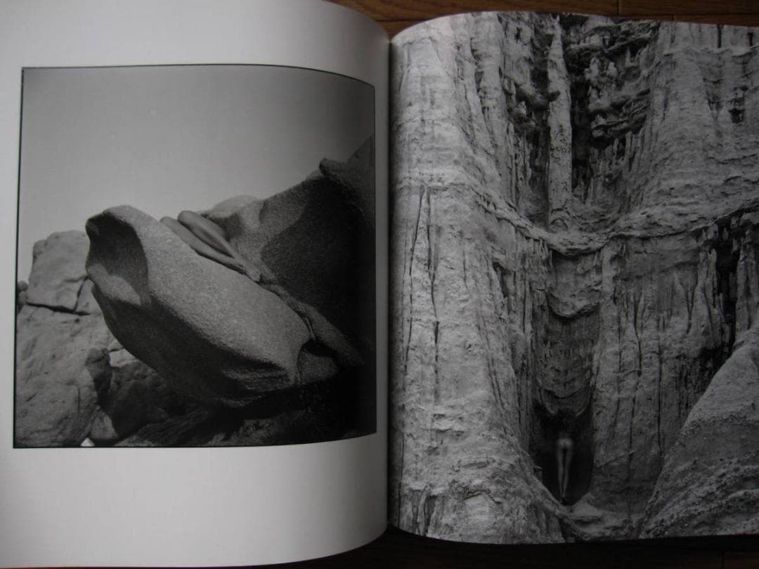 Silvereye　Guido Argentini　 グイド・アルジェンティーニ