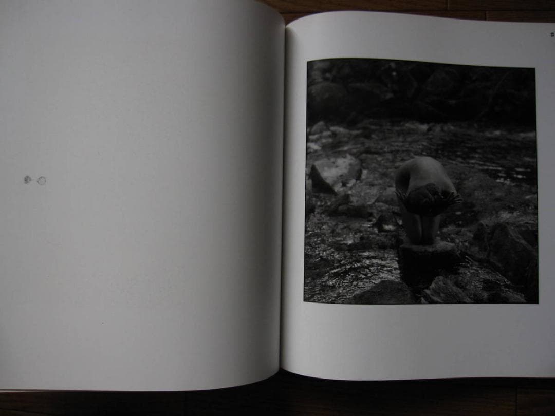 Silvereye　Guido Argentini　 グイド・アルジェンティーニ