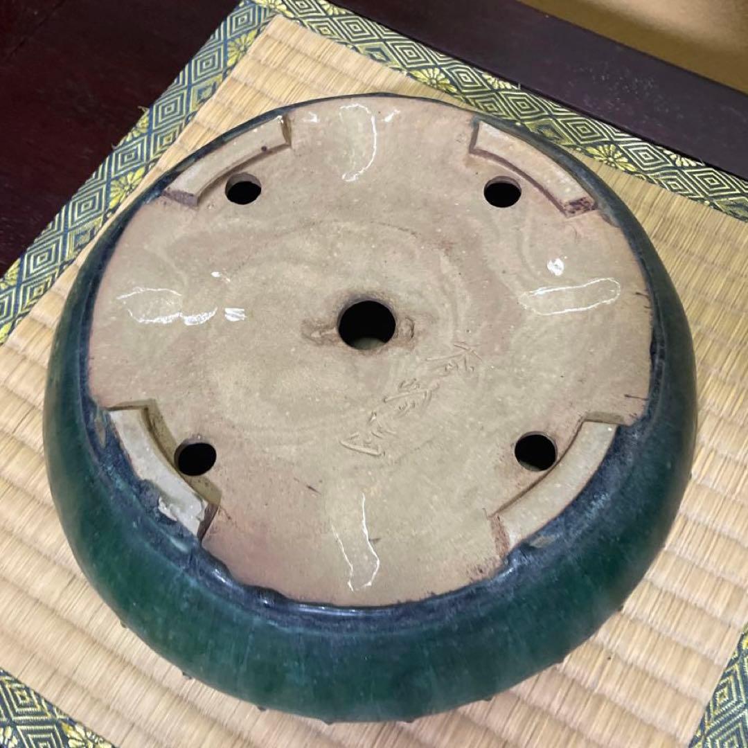 【落款あり】秀峰 鋲打外縁丸太鼓鉢 緑釉 盆栽鉢 丸型鉢 24cm