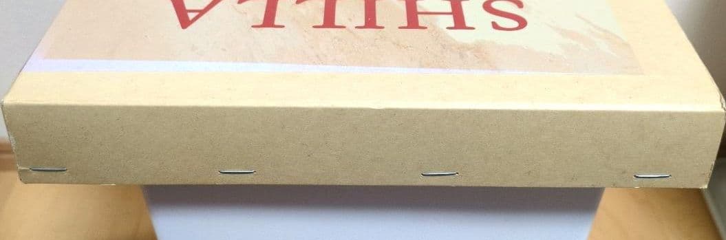 SHILLA SYSTEMの概念とその臨床活用