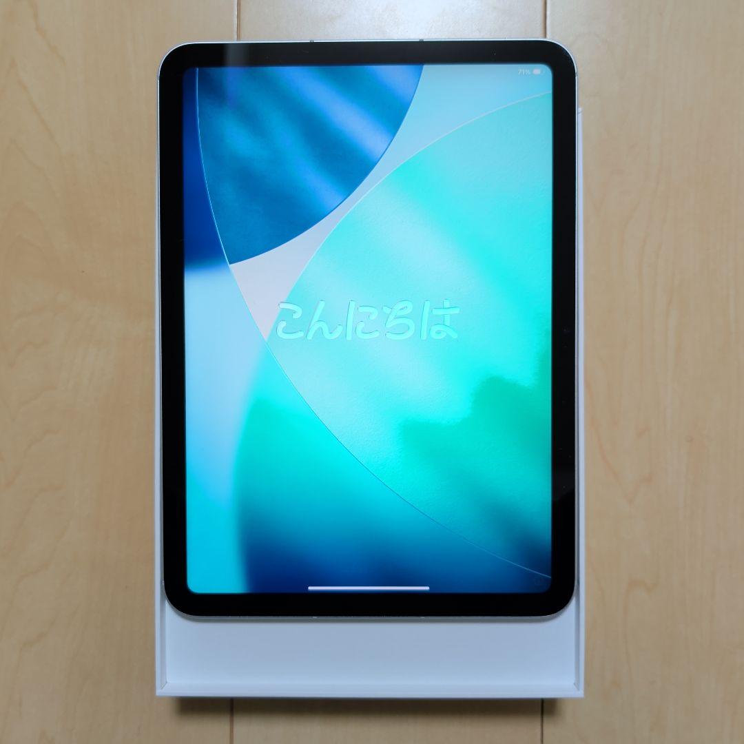 iPad (A16) Wi-Fi + Cellular 128GB シルバー