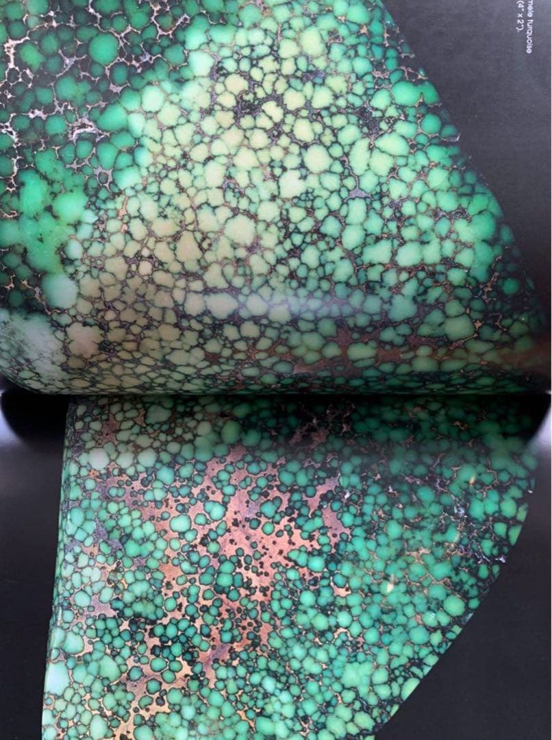 Jewel of the Southwest Turquoise ターコイズ 本