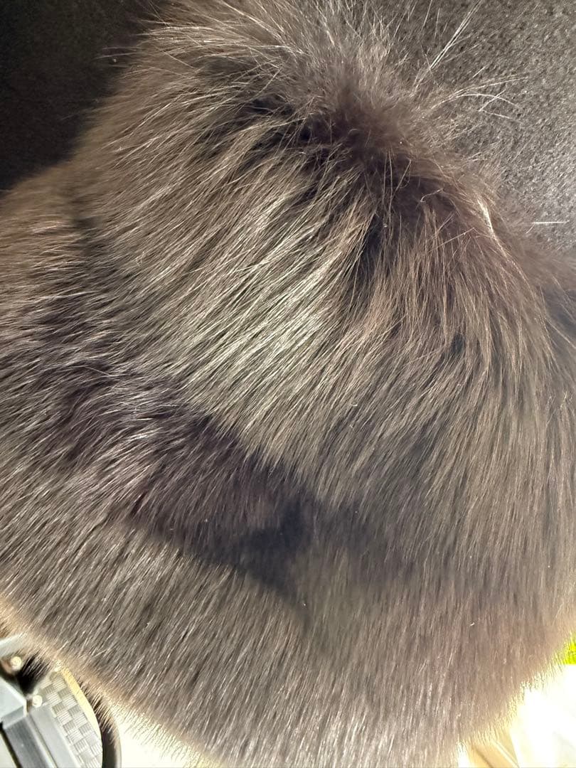 FOXEY ブラックファーベスト