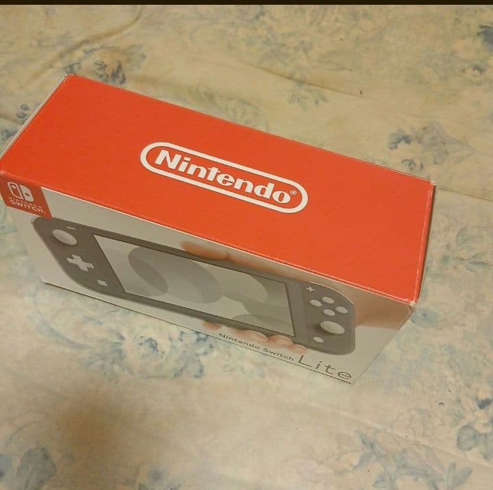 スイッチライト　説明書なし　箱あり　目立った傷はなし