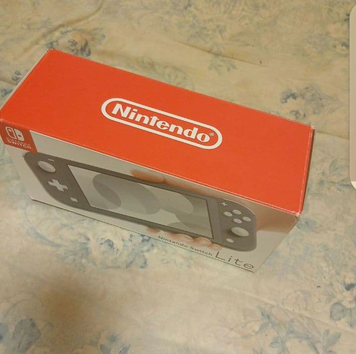 スイッチライト　説明書なし　箱あり　目立った傷はなし