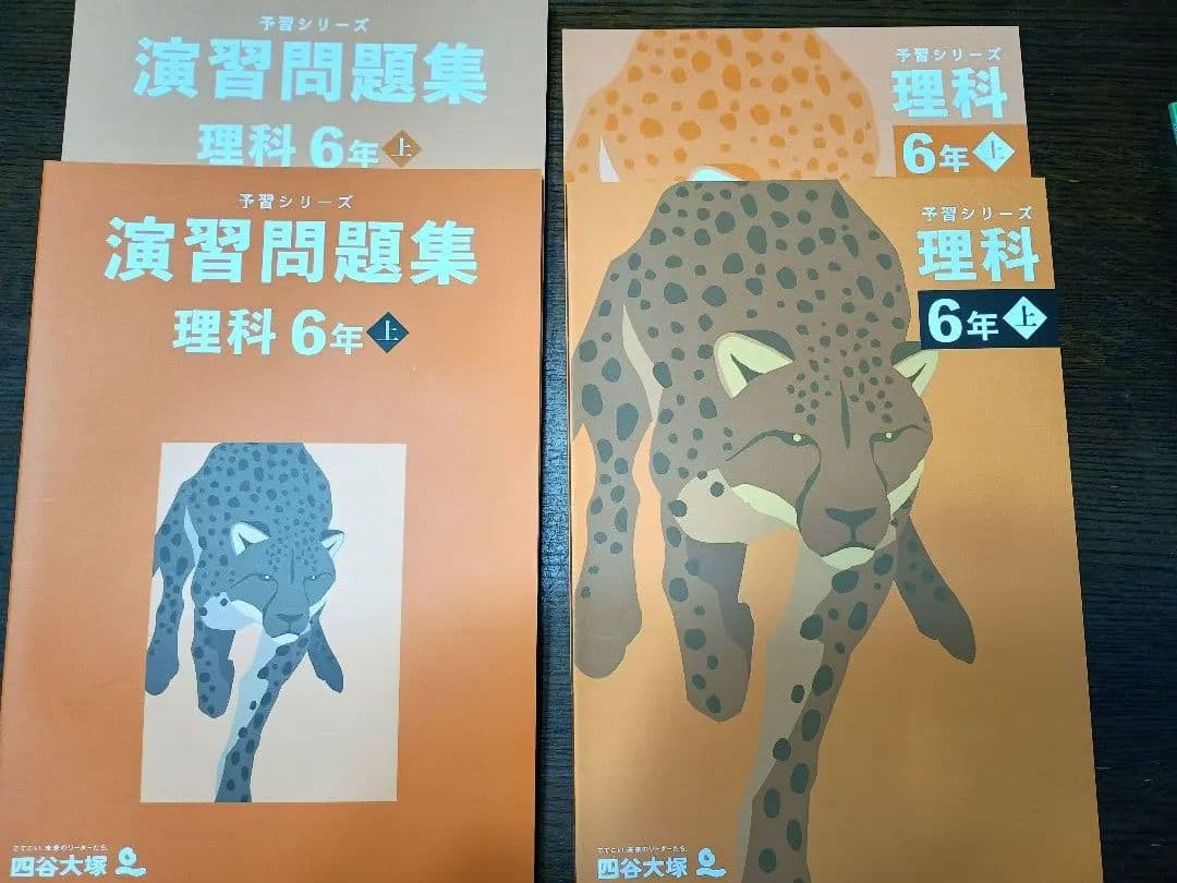 四谷大塚　予習シリーズ　6年上　国語算数理科社会　セット　テキスト一式
