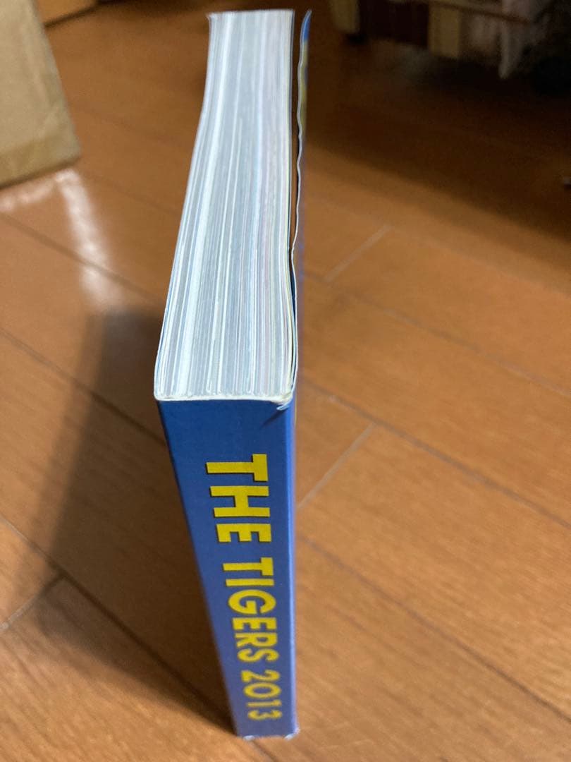 ザ・タイガース/THE TIGERS 2013 DVDお値下げ