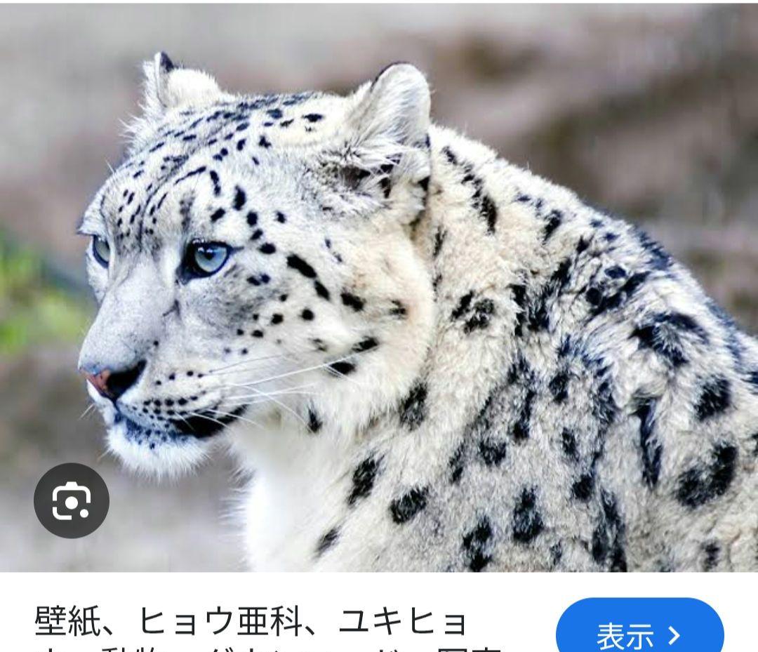 26cm雪豹柄　アディダスステラマッカートニーウルトラブースト