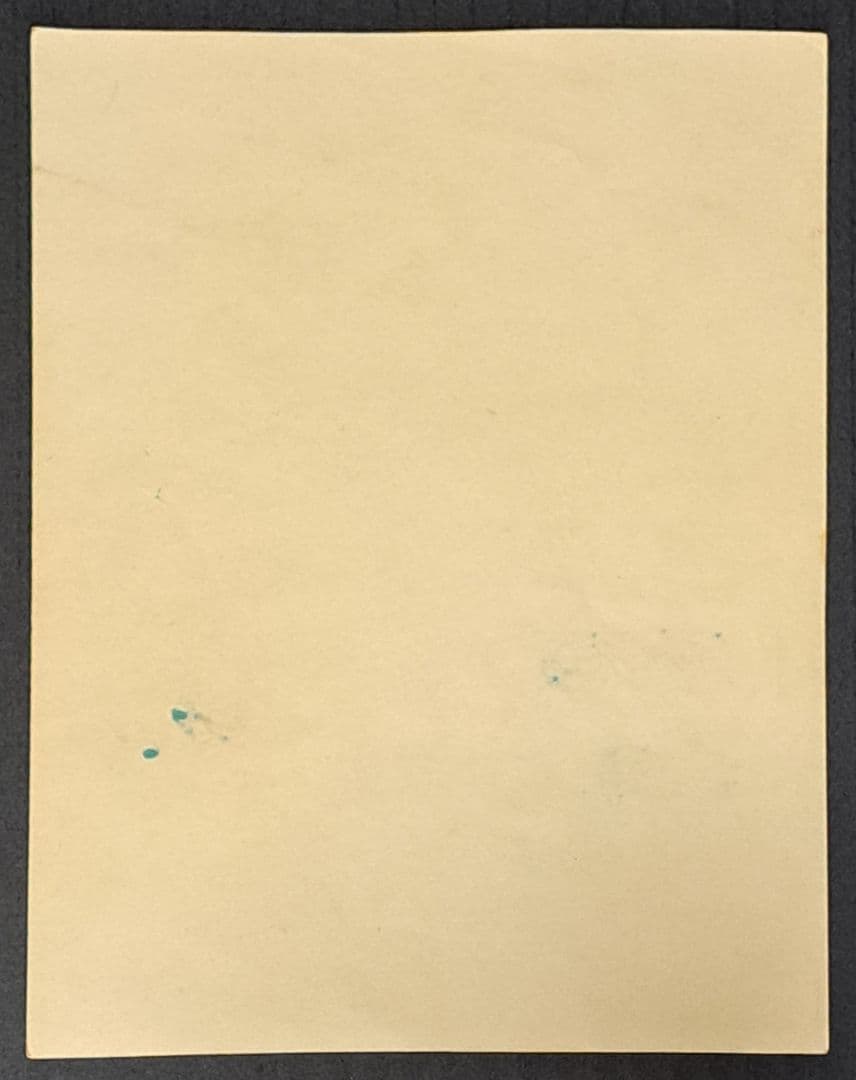 見なきゃ・やらなきゃハドソンよ！！　ポイントラリー参加券　非売品　レア