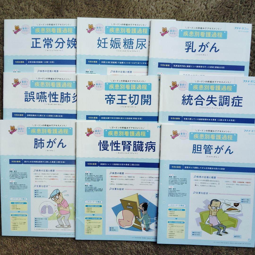 プチナース　疾患別看護過程　老年看護過程