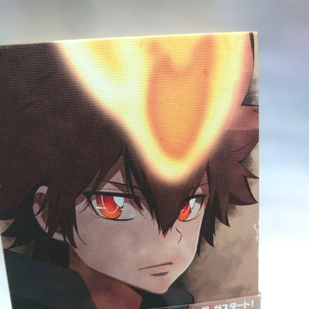 家庭教師ヒットマンREBORN DVD全巻セットおまけ付き