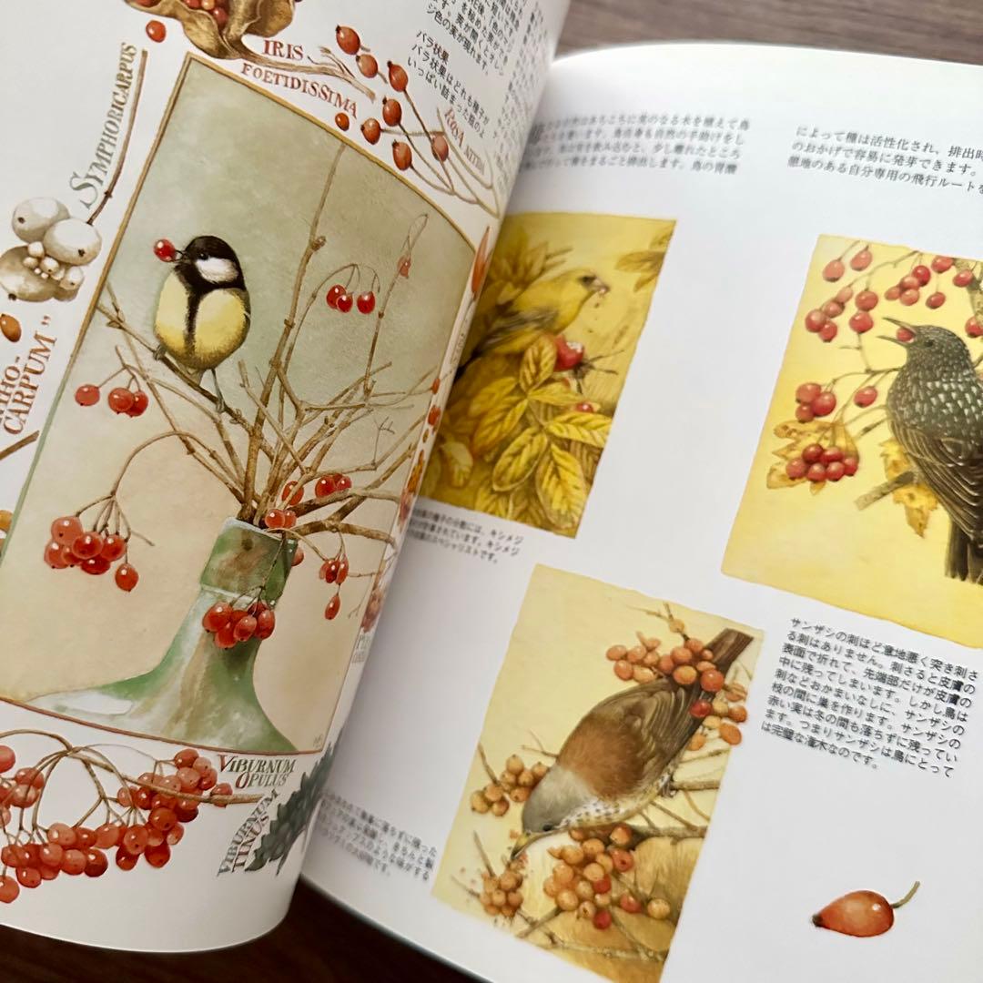 花ねこ様 リクエスト 5点 まとめ商品