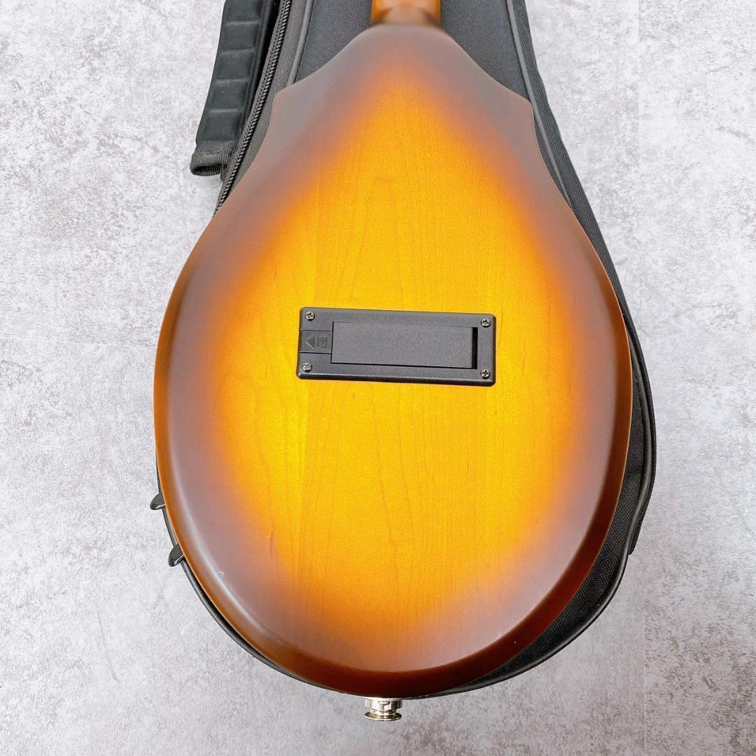 弦楽器 Seagull / S8 Mandolin Sunburst EQ