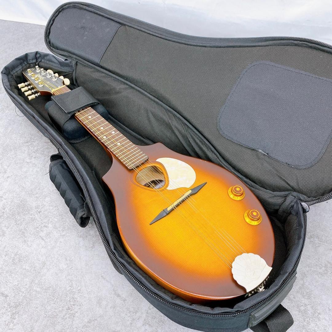 弦楽器 Seagull / S8 Mandolin Sunburst EQ