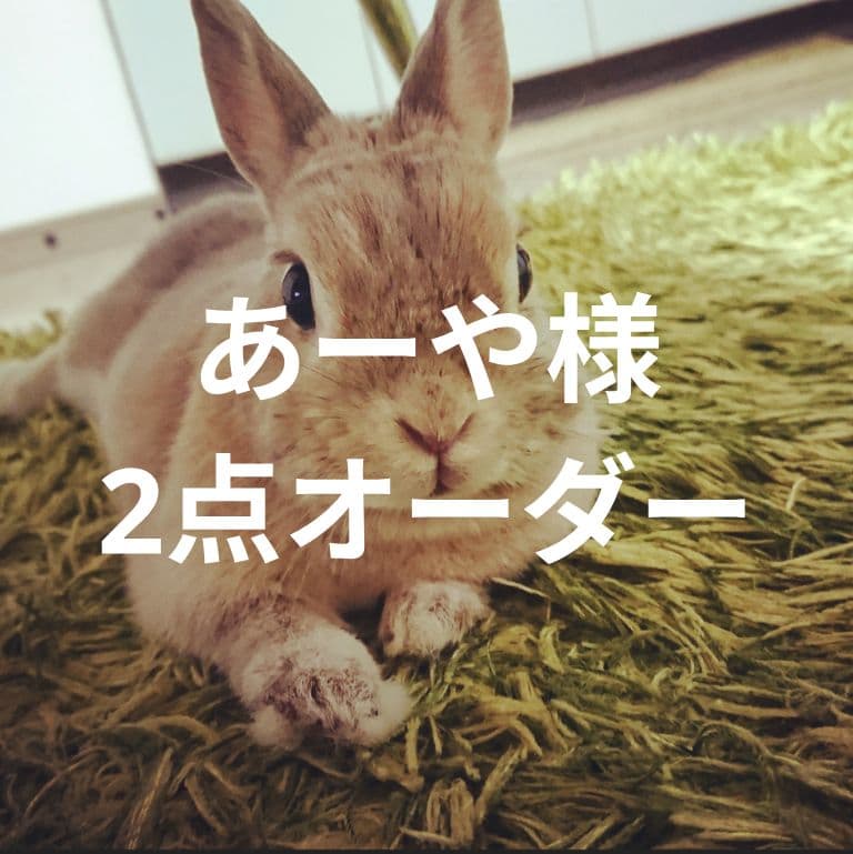 あーや様　4点お取り置き2点オーダー専用ページ【部品6種】