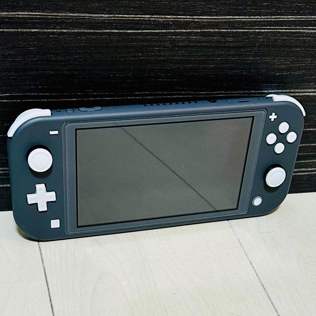 Nintendo Switch Lite グレー　スプラトゥーン2 ケース