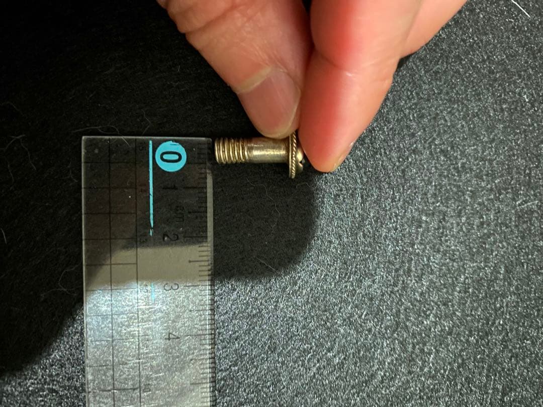 あるじゃん　ボルト　ピアス